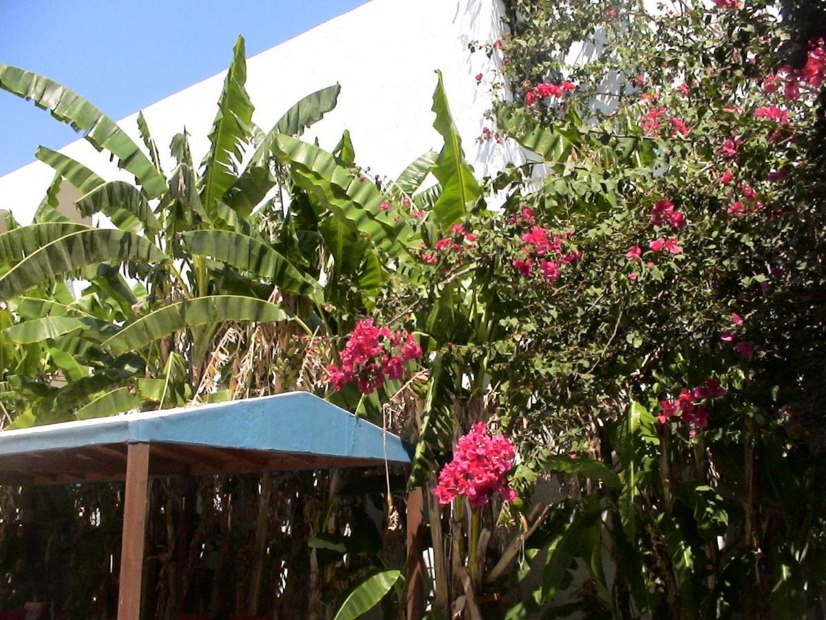 Appartement Sea Breeze 2 Mastichari (Kos)
